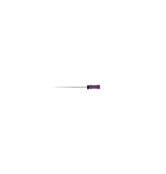 HSB stainless steel Hedstrom File 31 mm ISO #10 Purple 6/Pk