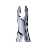 99C Kells Extraction Forceps - SurgiWorld FR99C, product photo 2