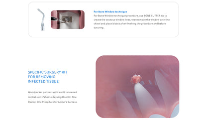 Woodpecker Altaqi Kit – Endo Piezo Surgery Tip Set