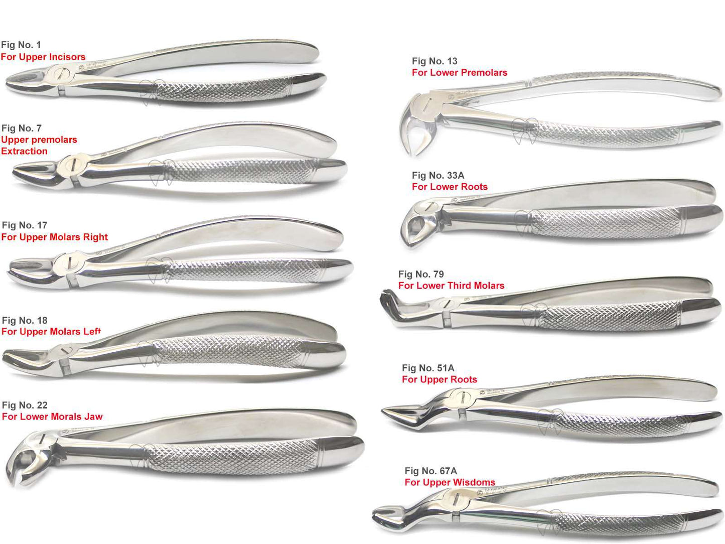 Extraction Forceps Kit 10/PK  English Pattern