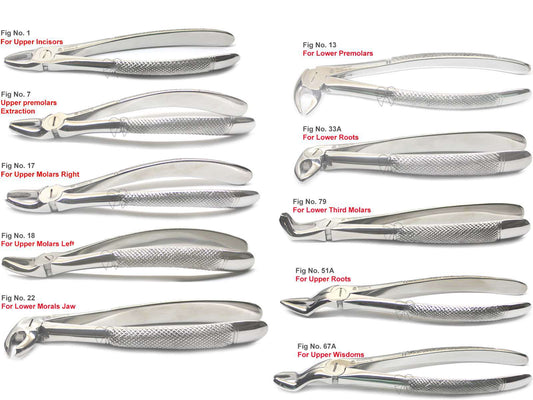 Extraction Forceps Kit 10/PK  English Pattern