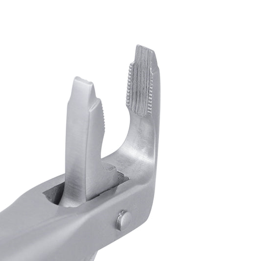 36 Lower Incisors Atraumair Extraction Forceps - HiTeck Medical Instruments