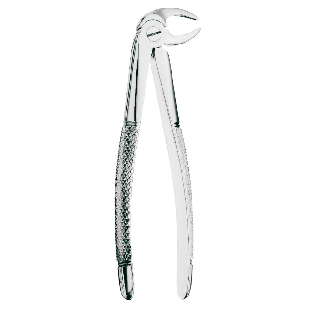 33 Root Forceps, Serrated - SurgiWorld FR33