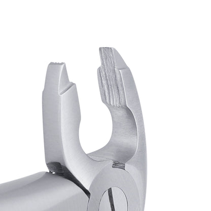 36 Serrated Lower Premolars Extraction Forcep - HiTeck Medical Instruments
