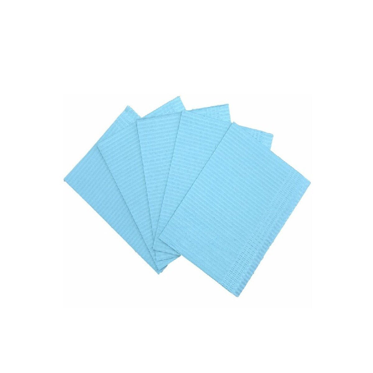 D2: Dental Bibs 2 Ply tissue 1 Ply poly 500/cs Blue-PP129-B