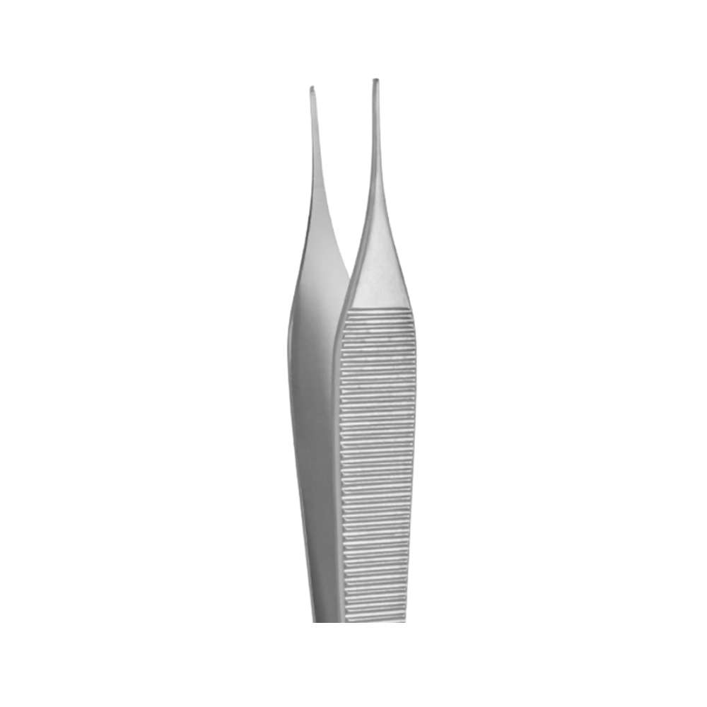 Adson Toothed Tissue Forceps, 6" - SurgiWorld TF122