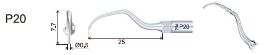 Woodpecker Ultrasonic Tips – Scaler & Endo Tips for Dentistry