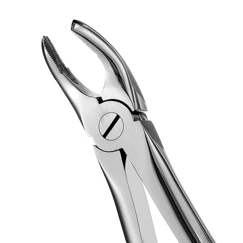 17 Serrated Upper Molars Extraction Forcep