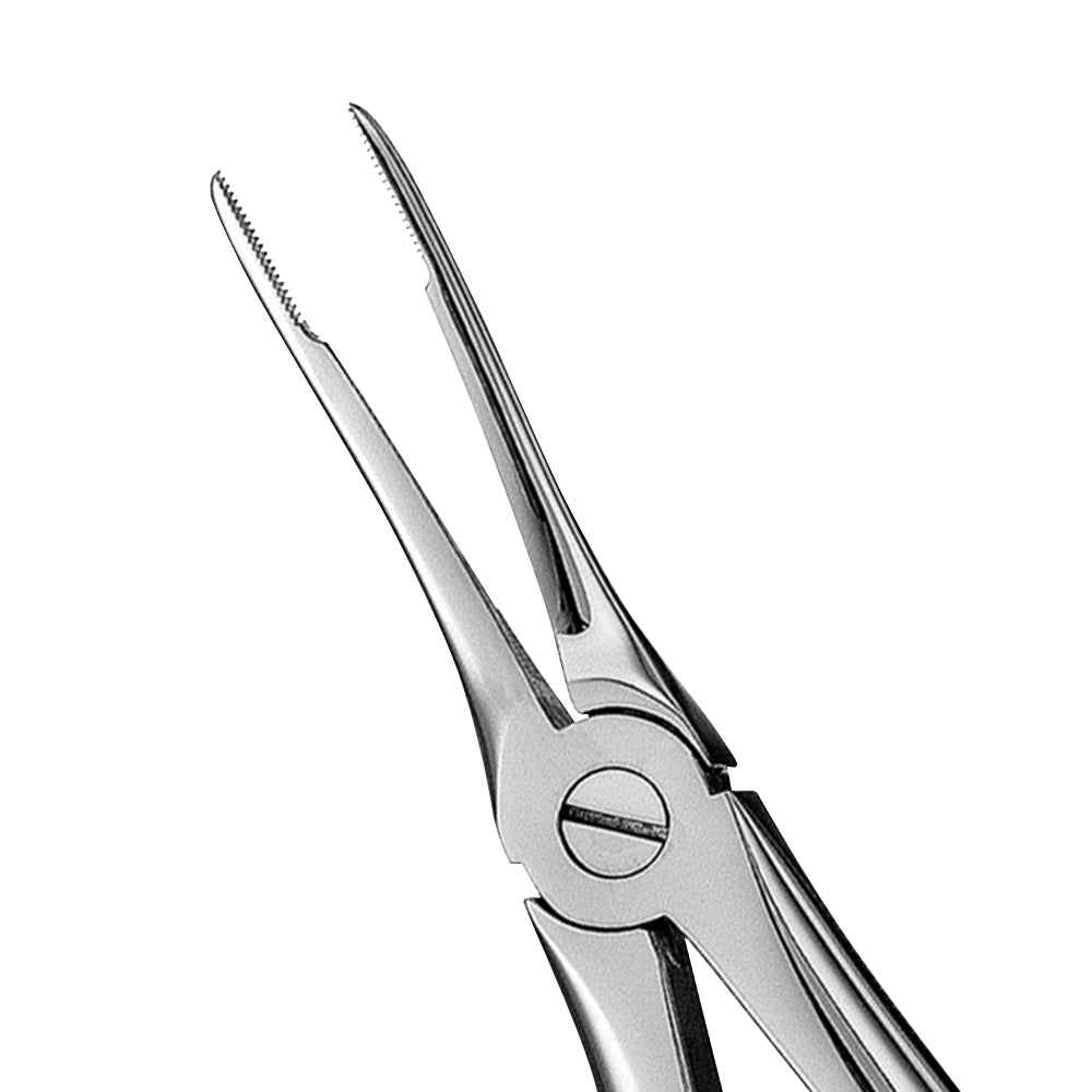 49 Upper Roots Serrated Extraction Forceps