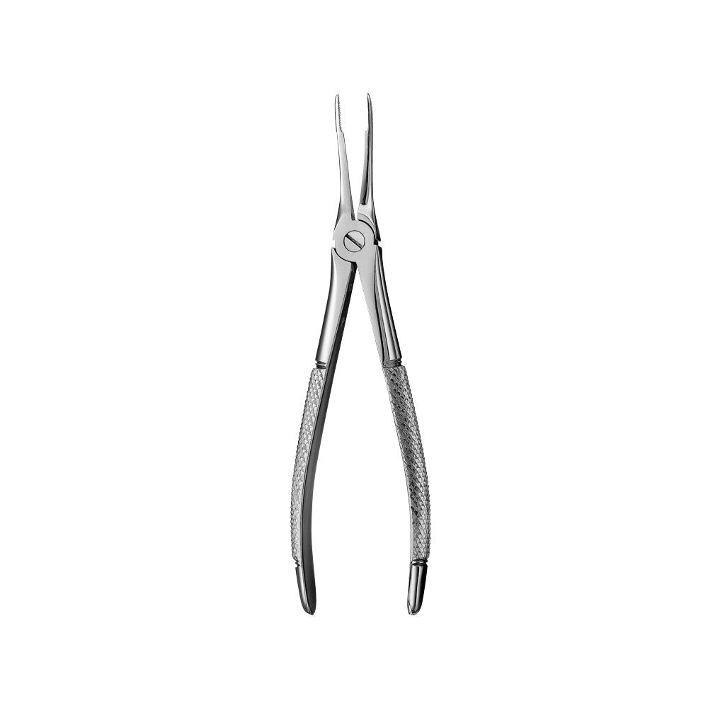 49 Upper Roots Serrated Extraction Forceps