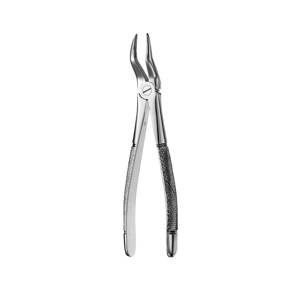 51 Upper Roots Serrated Extraction Forceps