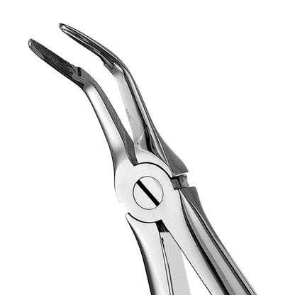 46L Lower Roots Serrated Extraction Forceps