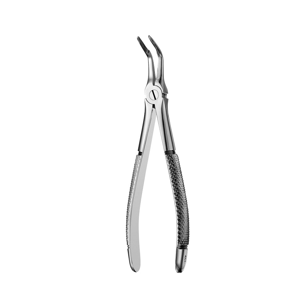 46L Lower Roots Serrated Extraction Forceps