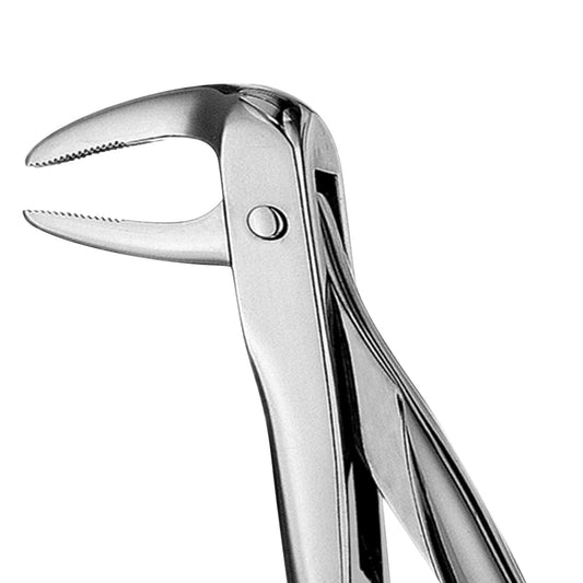 74N Lower Roots Narrow Beaks Serrated Extraction Forceps