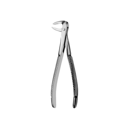 74N Lower Roots Narrow Beaks Serrated Extraction Forceps