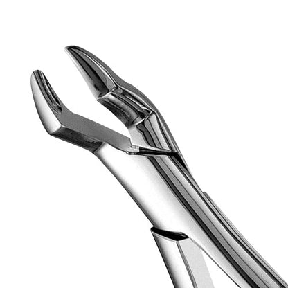 10S Upper Molars Extraction Forcep