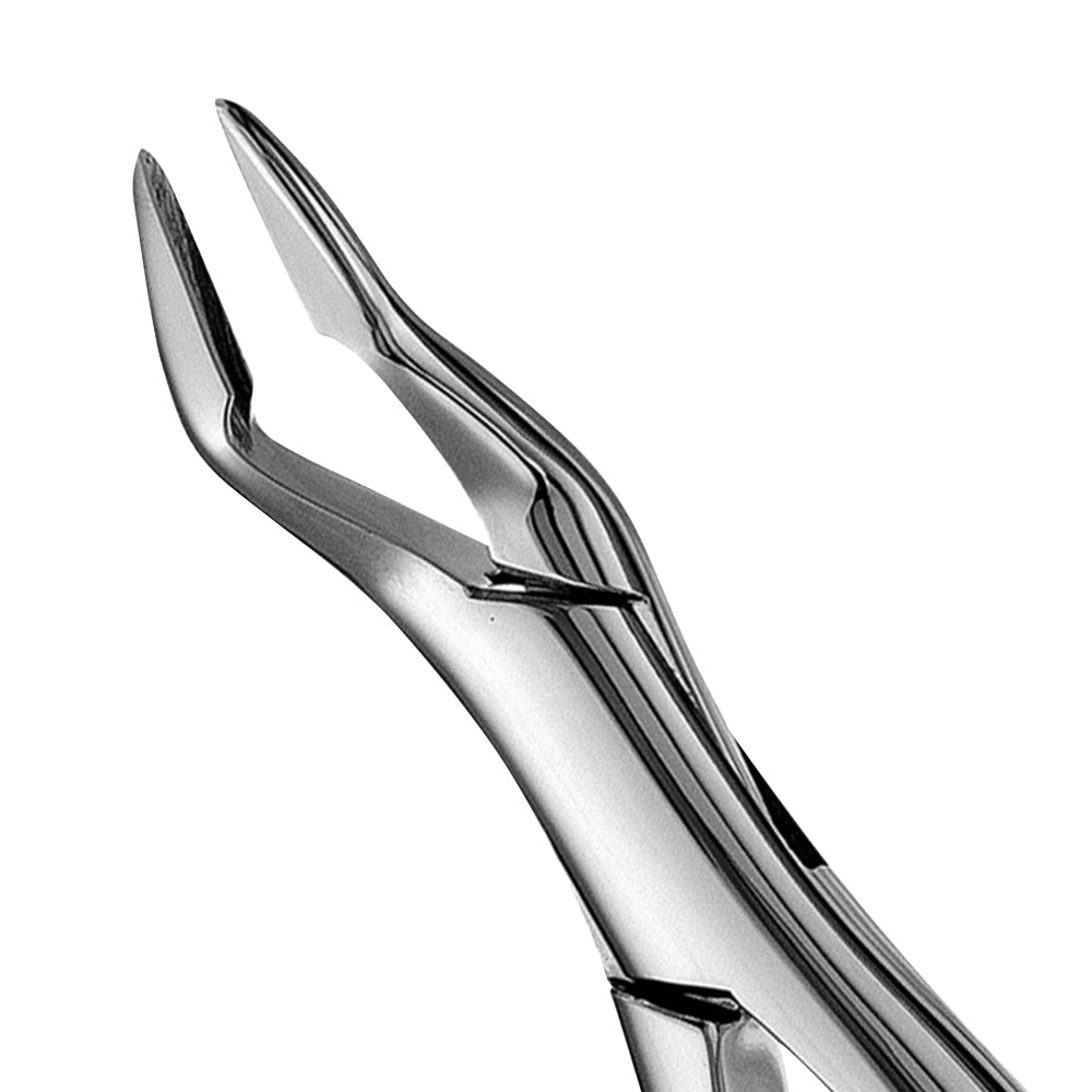 32A Parmly Upper Incisors & Canines Extraction Forceps