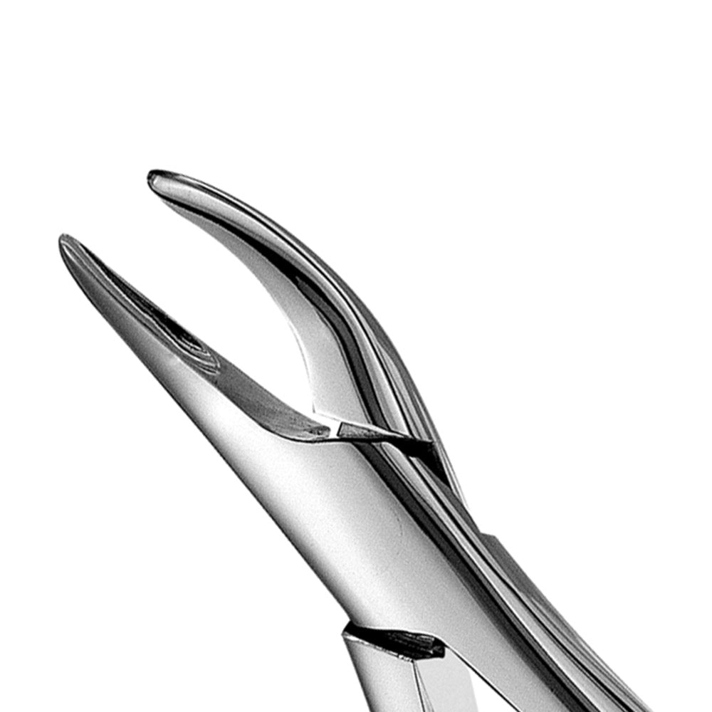 69 Upper & Lower Fragments & Roots Extraction Forceps