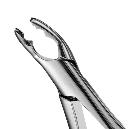 150AS Split Beaks Serrated Upper Incisors & Canines Extraction Forceps