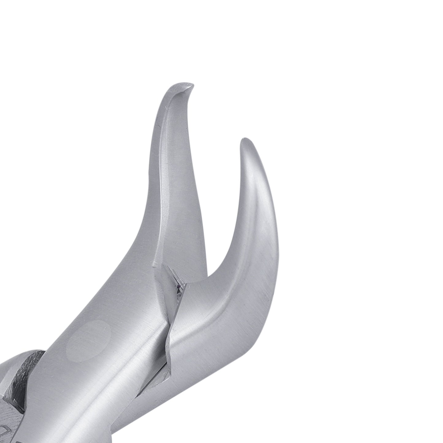 16 Cowhorn Lower Molars Extraction Forceps