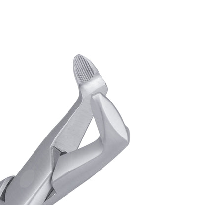 AF222 Apical Lower Molars Extraction Forceps