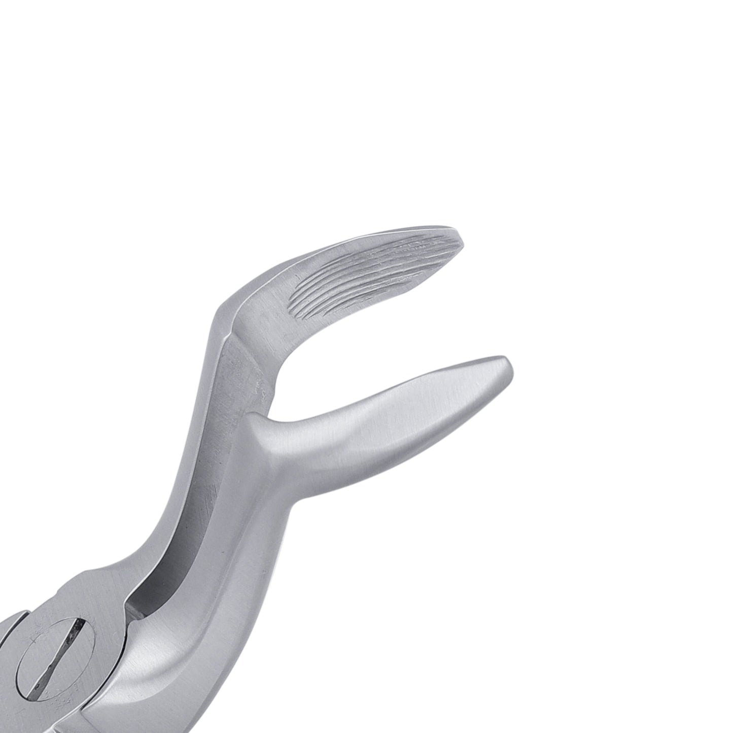 AF67A Apical Upper Molars Extraction Forceps