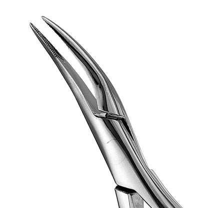 300 Upper Roots Serrated Extraction Forceps