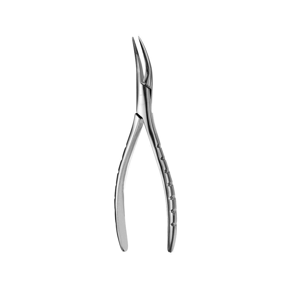 300 Upper Roots Serrated Extraction Forceps