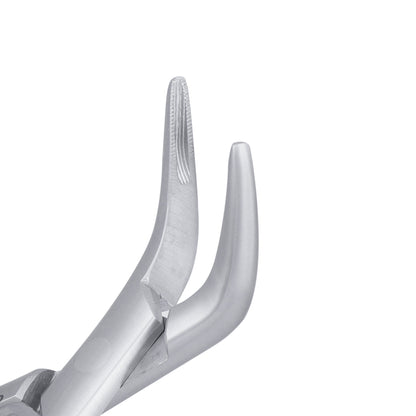 301 Lower Roots Serrated Extraction Forceps