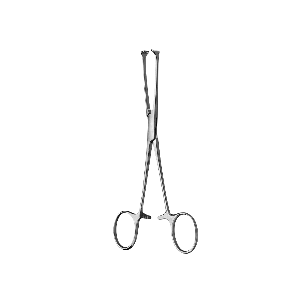 Allis Tissue Forcep, 5x6 Teeth, 15CM