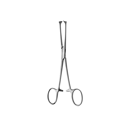 Allis Tissue Forcep, 5x6 Teeth, 15CM