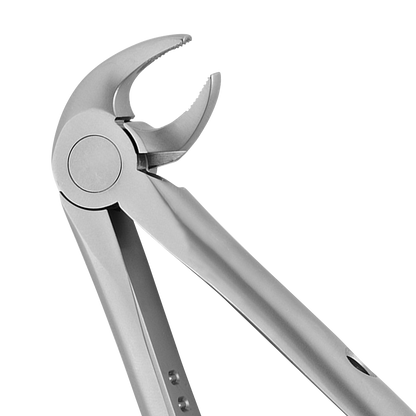 13 Lower Premolars Atraumair Extraction Forceps