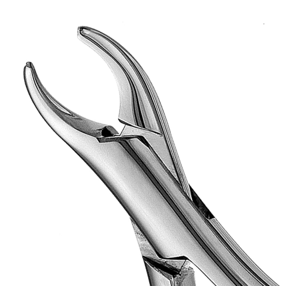 150K Upper Primary Incisors & Roots Extraction Forcep