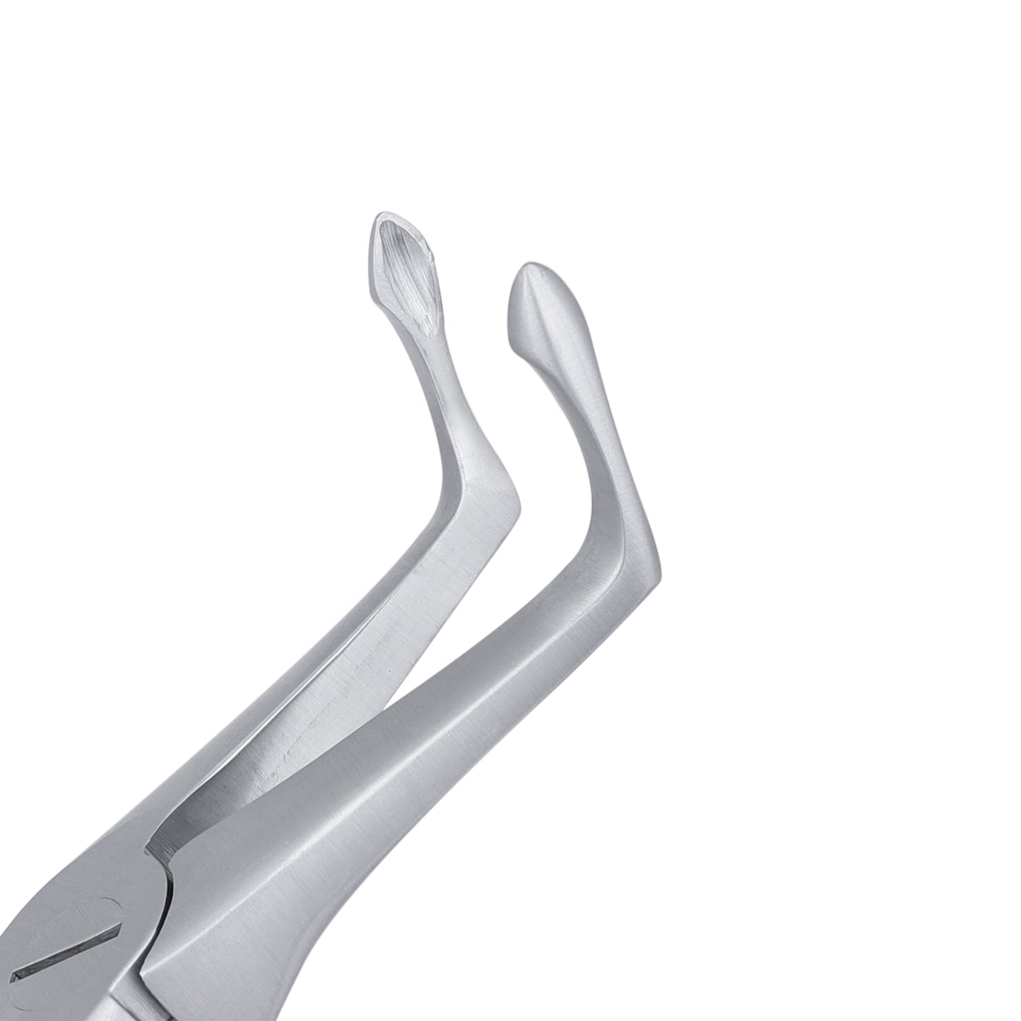 45 Lower Roots Serrated Atraumair Extraction Forceps