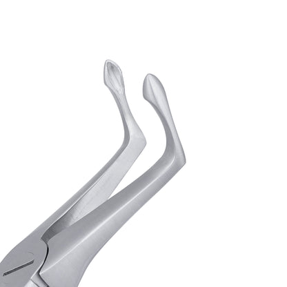 45 Lower Roots Serrated Atraumair Extraction Forceps