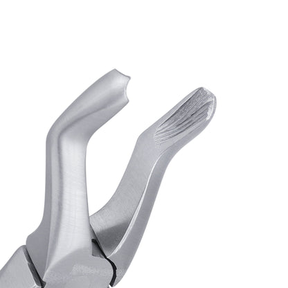 4C Pedo Upper Premolars English Extraction Forcep