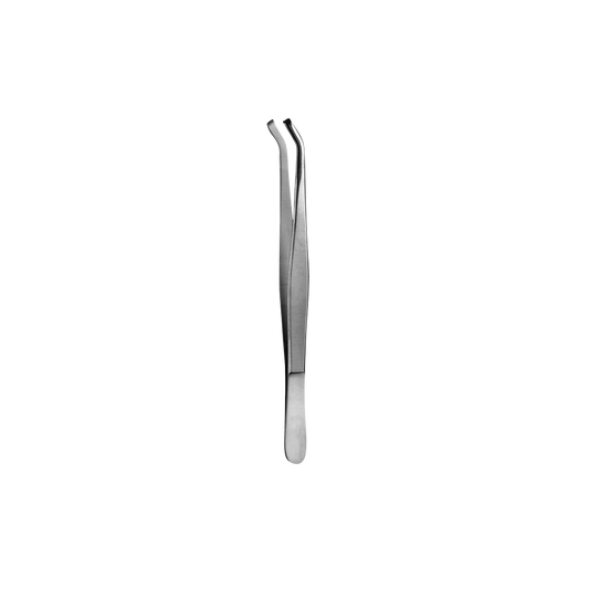 16 Tissue Forcep, 3x4, 15CM