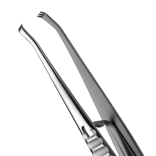 50 Fox Non Locking Tissue Forcep, 3x3, 15CM